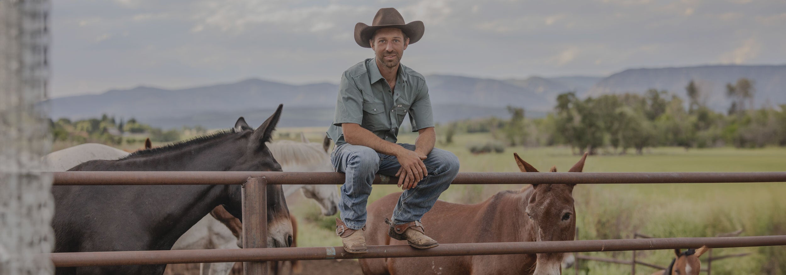 Premium Western Shirts - Ranch-Tested Durability - Ferrell Brand